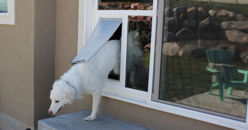 Sliding glass pet door photo - Energy Shield Window and Door Company