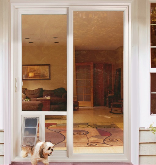 A dog is standing in front of a sliding glass door, which might need replacement windows or doors.