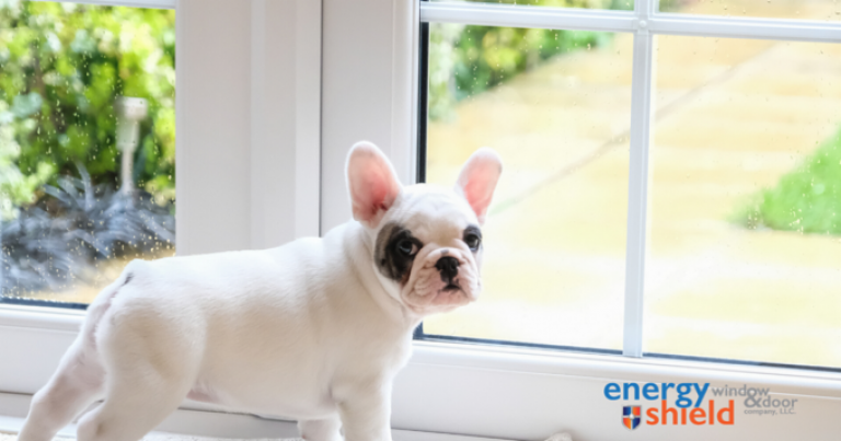 Puppy standing by the door  - The Benefits of Automatic Doors for Pets - Energy Shield Windows and Doors