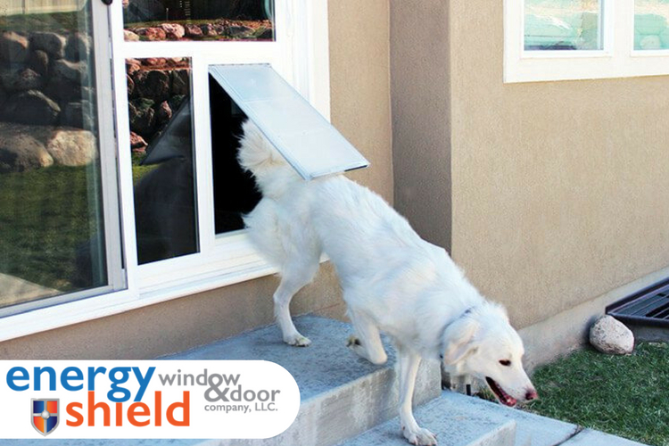 Dog using pet door - Sliding glass pet doors and vinyl sliding pet doors